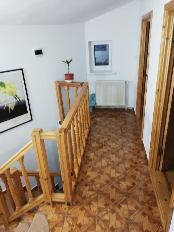 Casa Doina Hotel Busteni Bagian luar foto